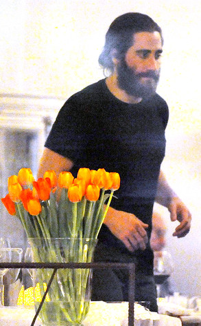 Jake Gyllenhaal Jake Gyllenhaal